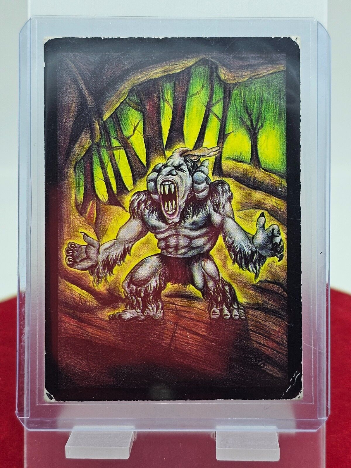 5561758