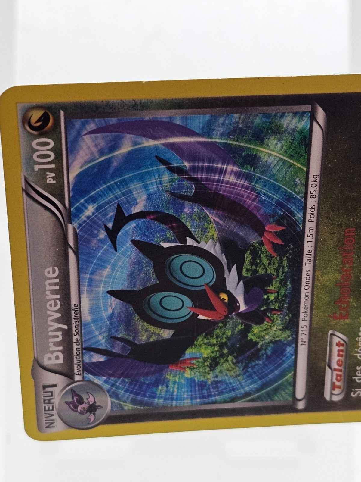 Bruyverne Holo Rare, Ciel Rugissant, Pokémon, 2014, 77/111