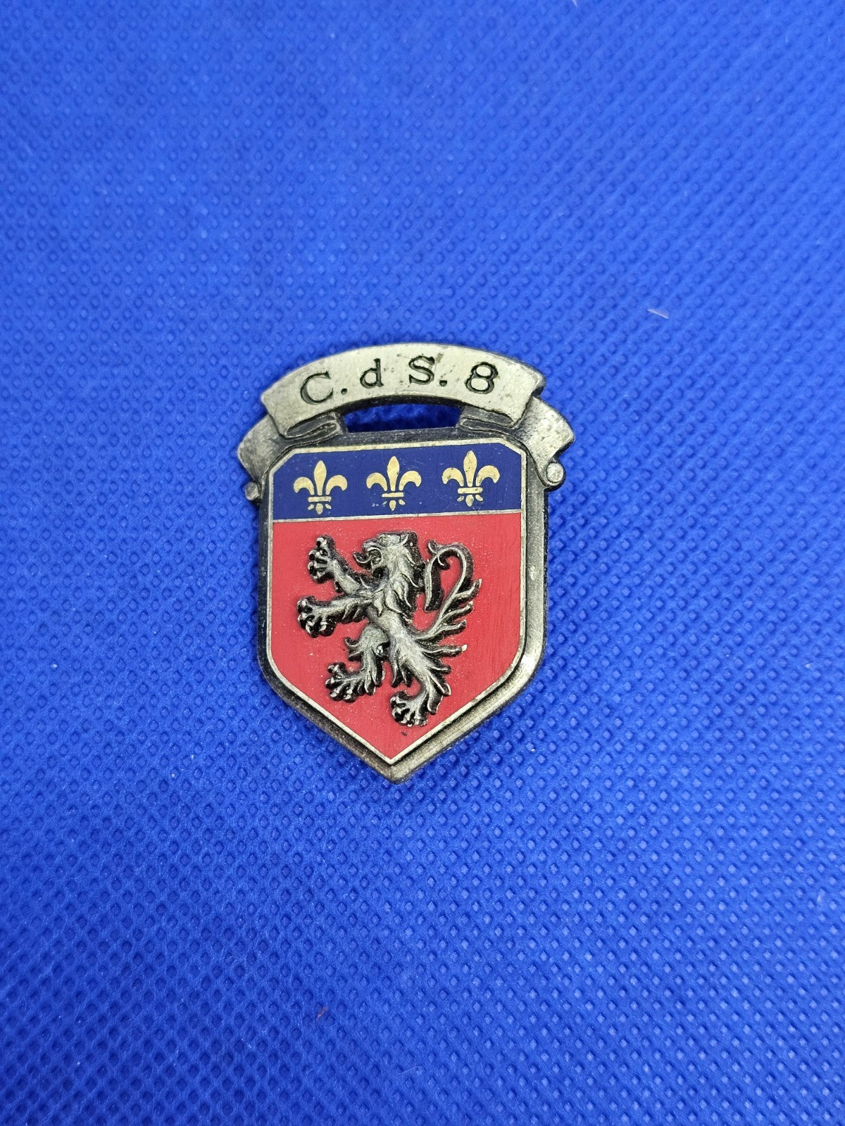 Insigne C.d.S. 8 Centre de Sélection Lyon Delsart G1393 version relief Militaria0