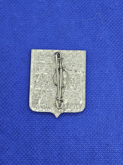 Insigne 13e Division Militaire Drago Paris Armée Française Militaria Vintage1