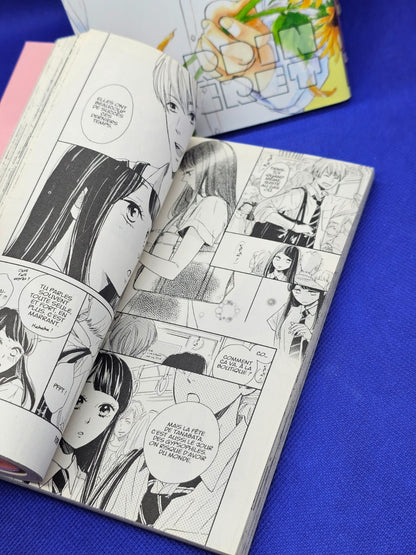 Jardin Secret Tomes 1 à 8 Manga Shojo Kana Ammitsu 2019 20214
