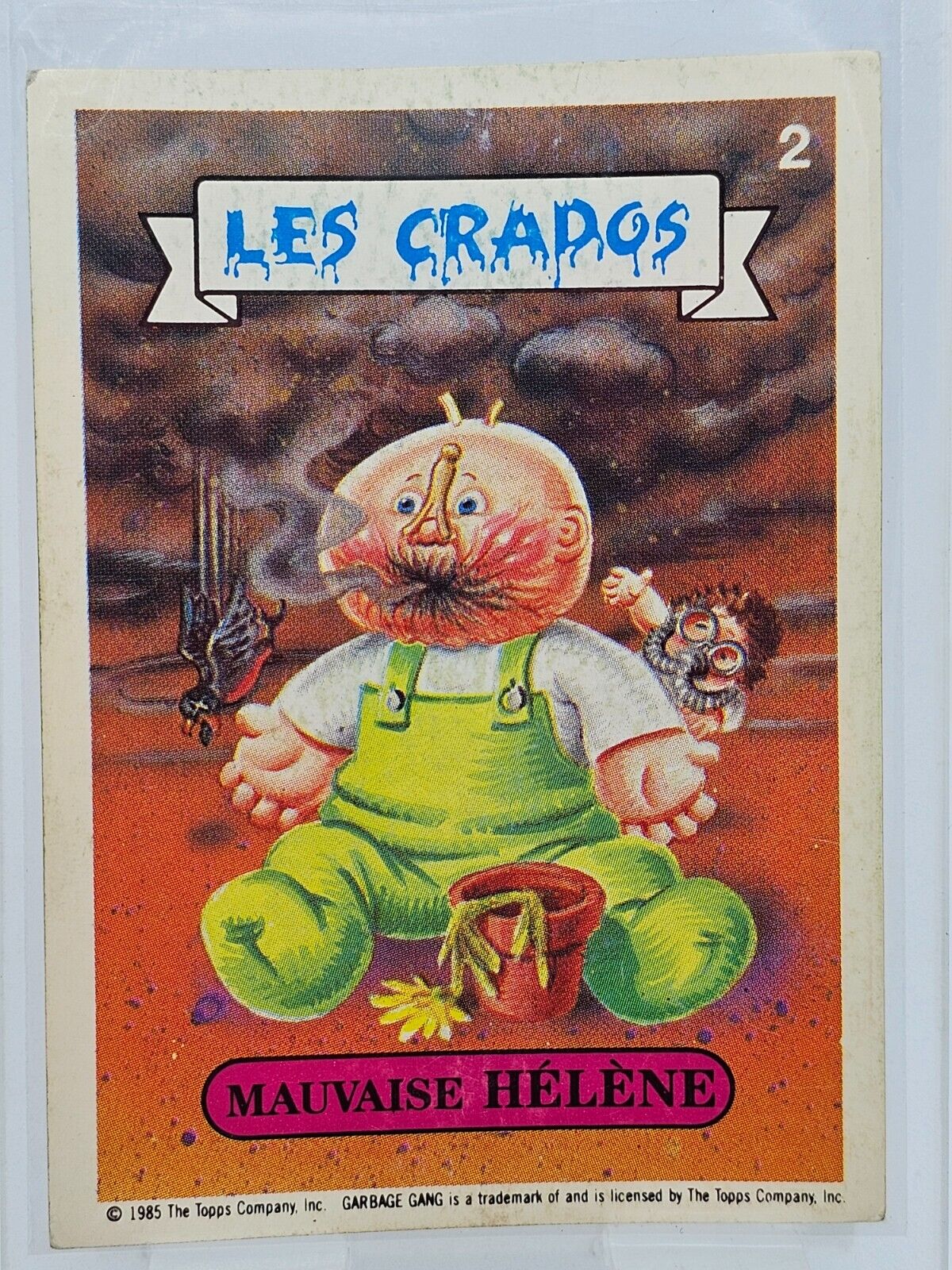 5562267
