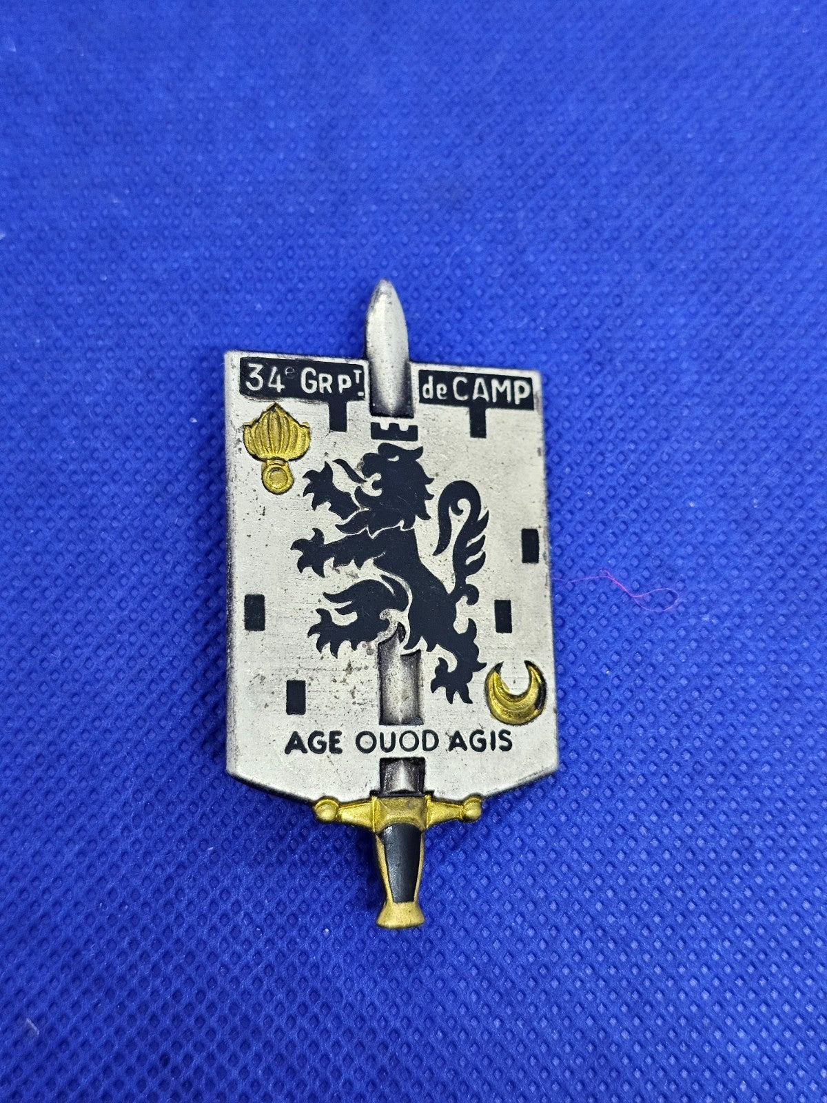 Insigne Militaire 34e Groupement de Camp Valdahon Drago Paris G2721 Armée França0