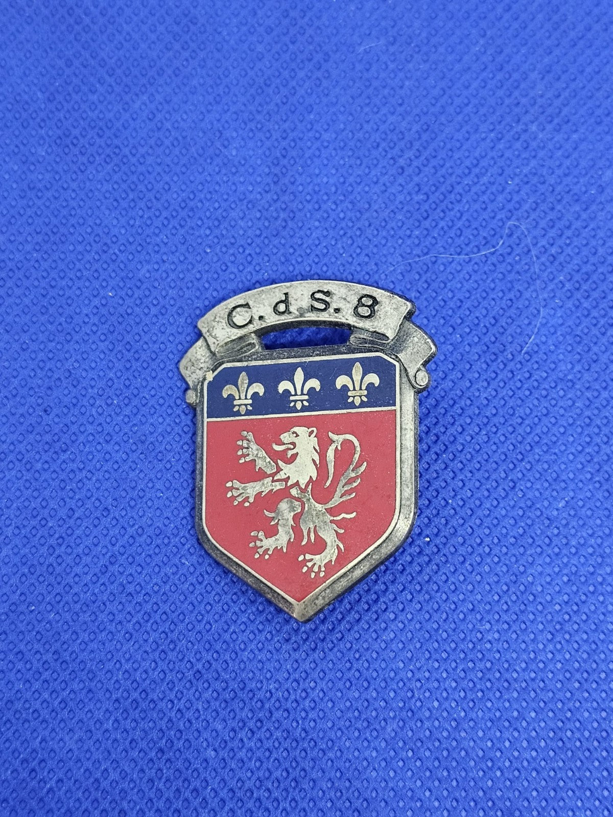 Insigne militaire Centre de Sélection n°8 Lyon CdS 8 Delsart G1393 Armée françai0