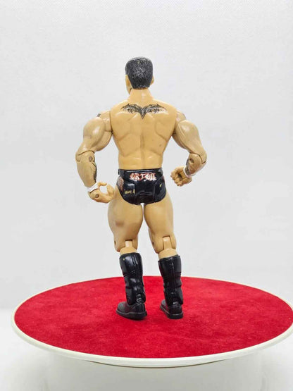 WWE Randy Orton Jakks Pacific 2003 Ruthless Aggression Articulée Catch  Loose