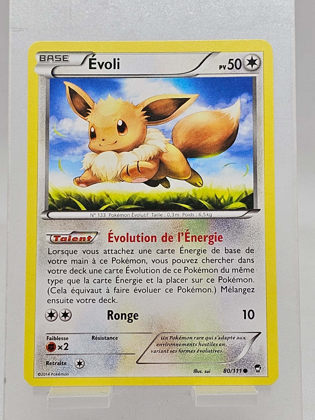 7743441