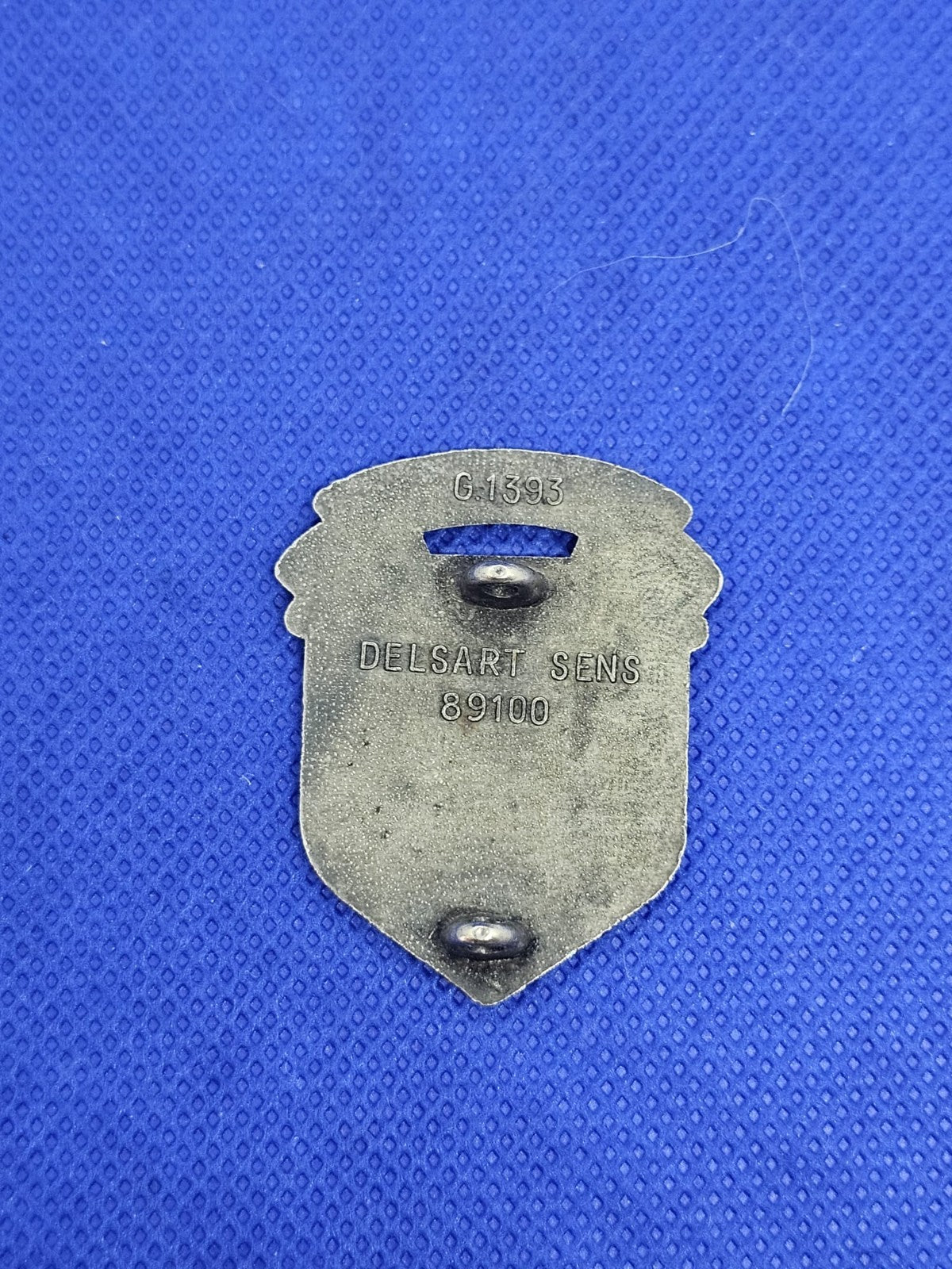 Insigne militaire Centre de Sélection n°8 Lyon CdS 8 Delsart G1393 Armée françai1