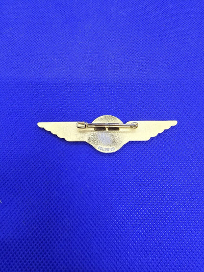 Insigne Police des Frontières PAF Police Nationale ailes Fournier France1