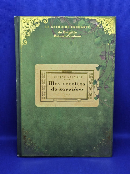 Mes recettes de sorcière Cuisine sauvage Le Grimoire Enchanté Brigitte Bulard0