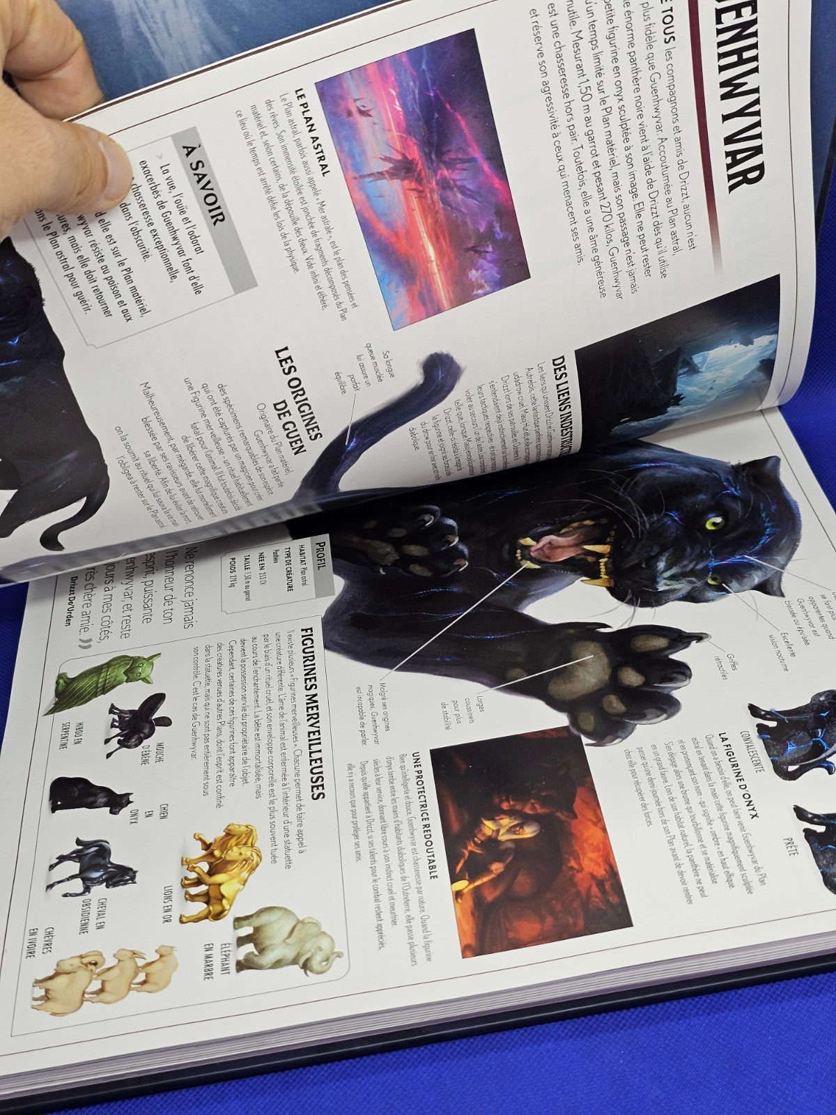 Dungeons Dragons La Légende de Drizzt Livre Guide Officiel Royaumes Oubliés Laro3