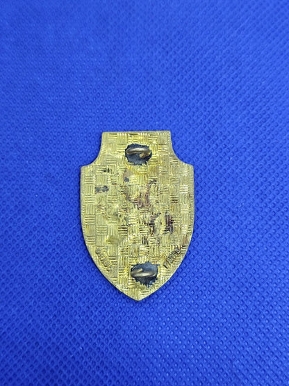 Insigne 4e Brigade 404e Cie QG Drago G21591