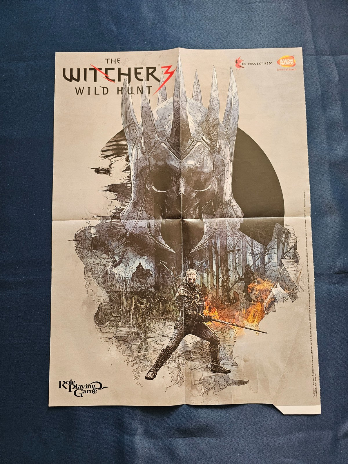 Poster Recto Verso The Witcher 3 Wild Hunt The 3rd Birthday Square Enix 40x55cm0