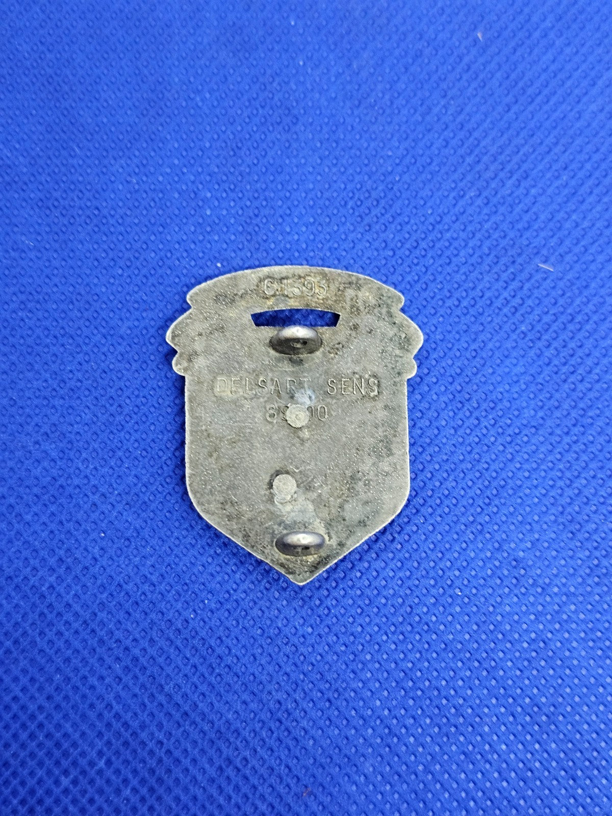 Insigne C.d.S. 8 Centre de Sélection Lyon Delsart G1393 version relief Militaria1