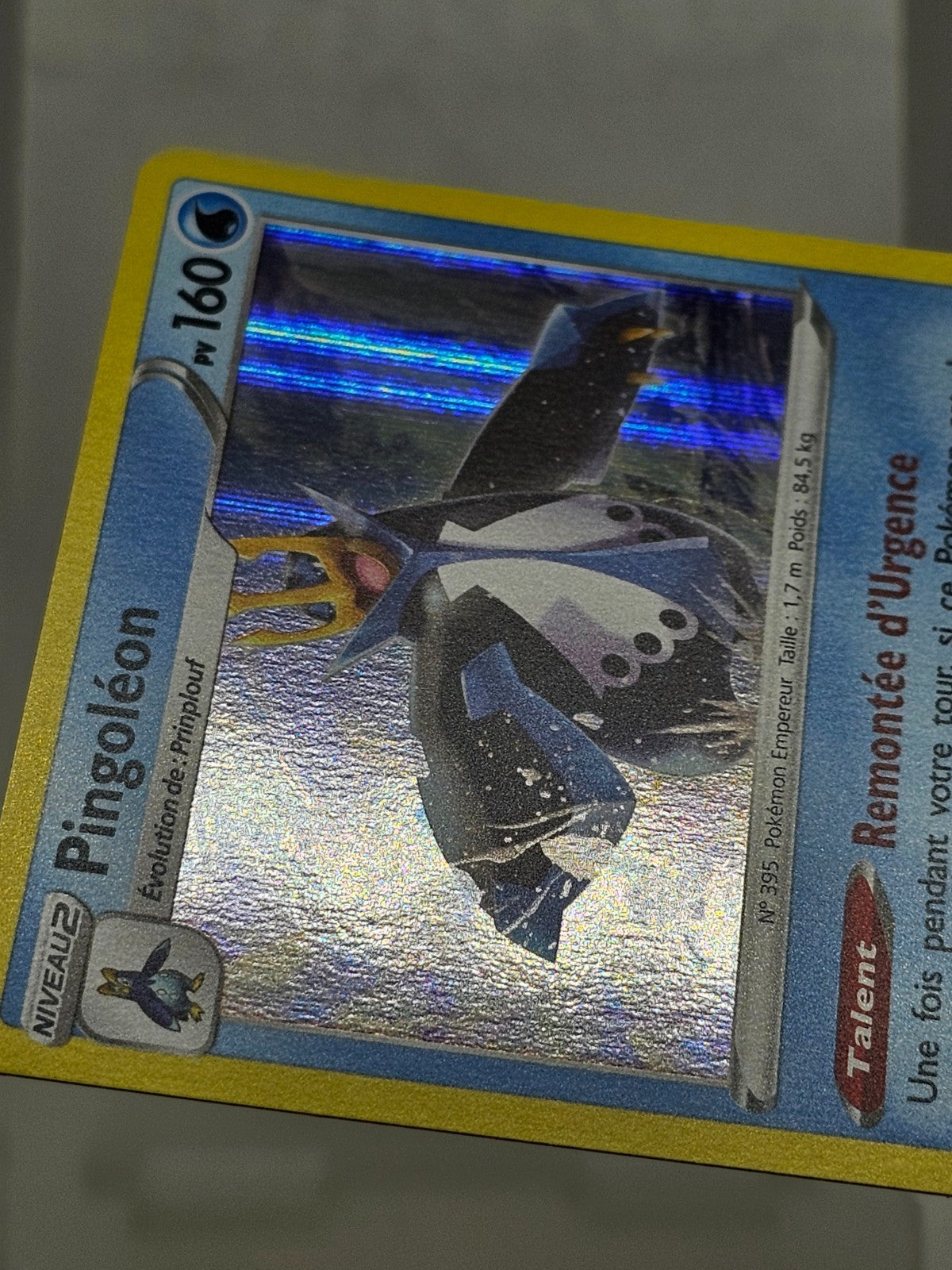 7743442