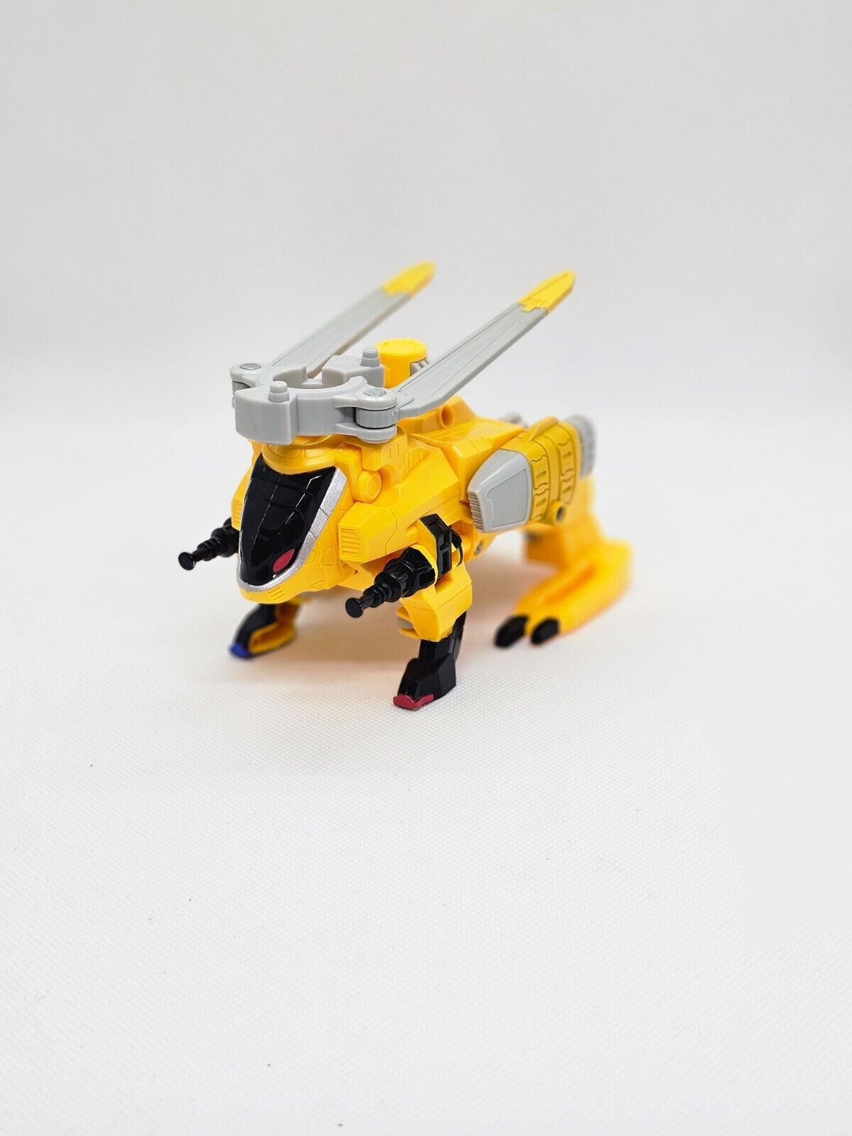 5561591