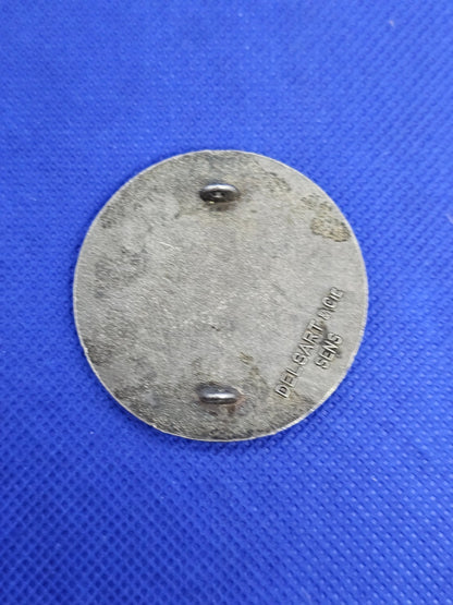 Insigne relief 30e Compagnie de Camp Armée Française Delsart Sens Militaria1