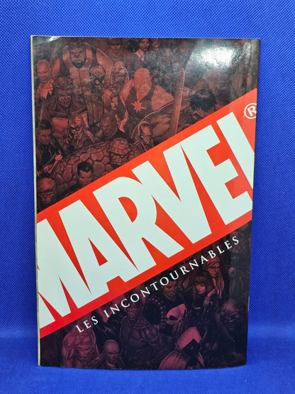 Ghost Rider Marvel Les Incontournables Panini Comics1