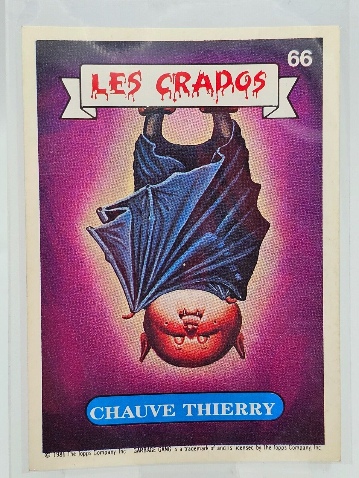 5562266