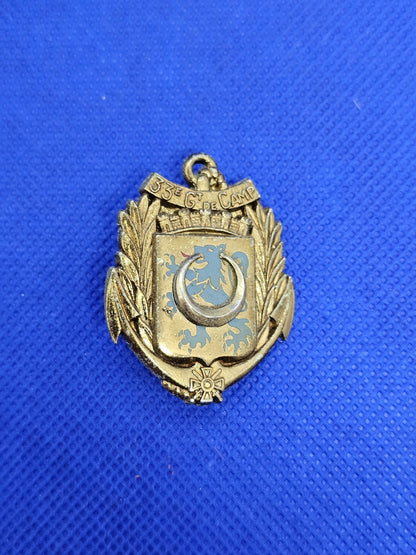 Insigne 33e Groupement de Camp Delsart G2124 version relief Armée Française Mili0