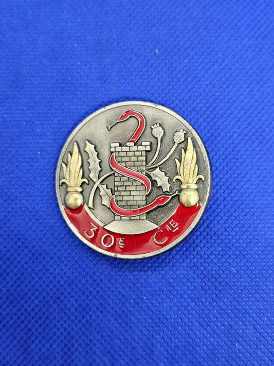 Insigne relief 30e Compagnie de Camp Armée Française Delsart Sens Militaria