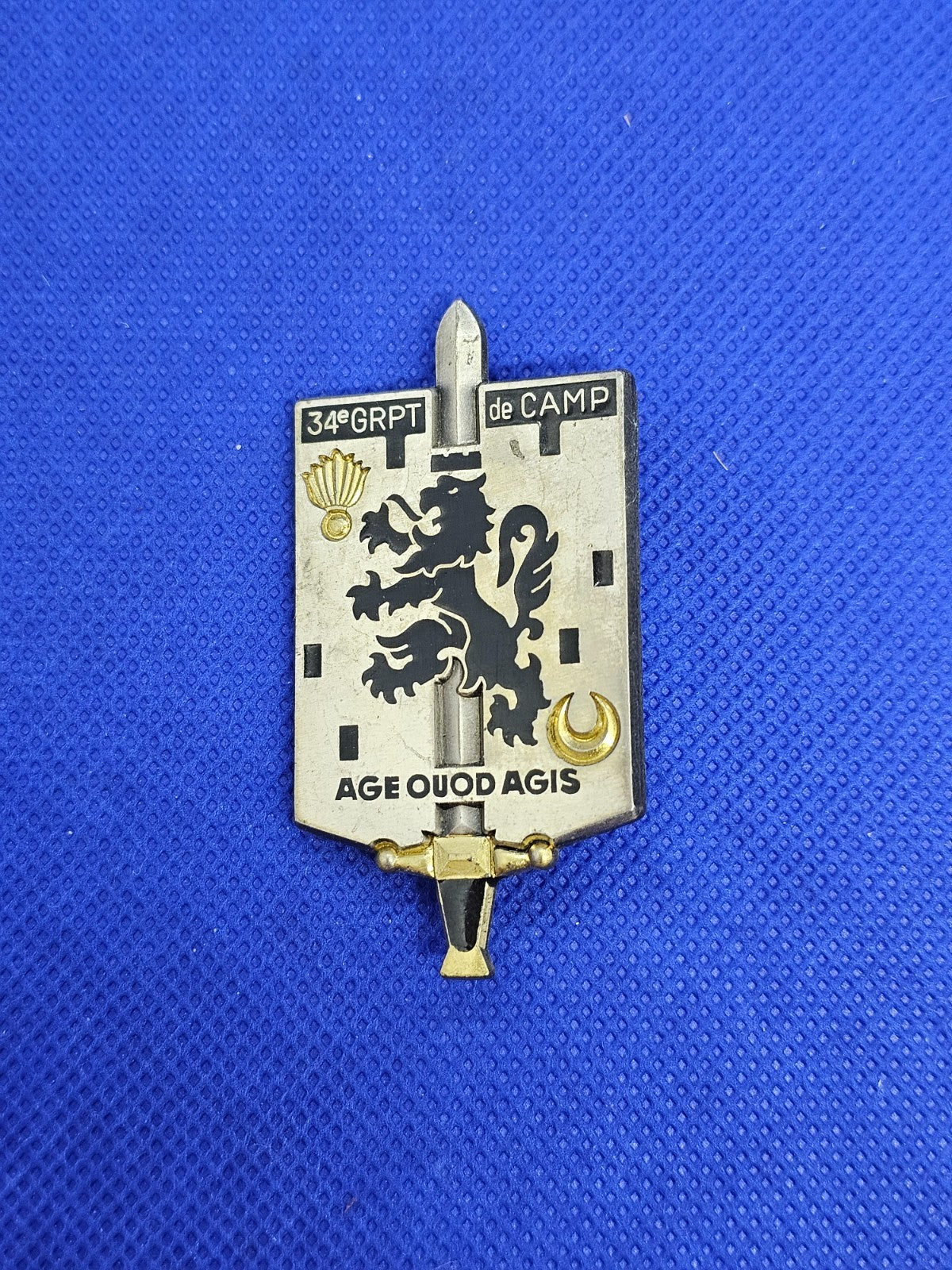 Insigne 34e Groupement de Camp Valdahon Delsart Sens G2721 Armée Française0