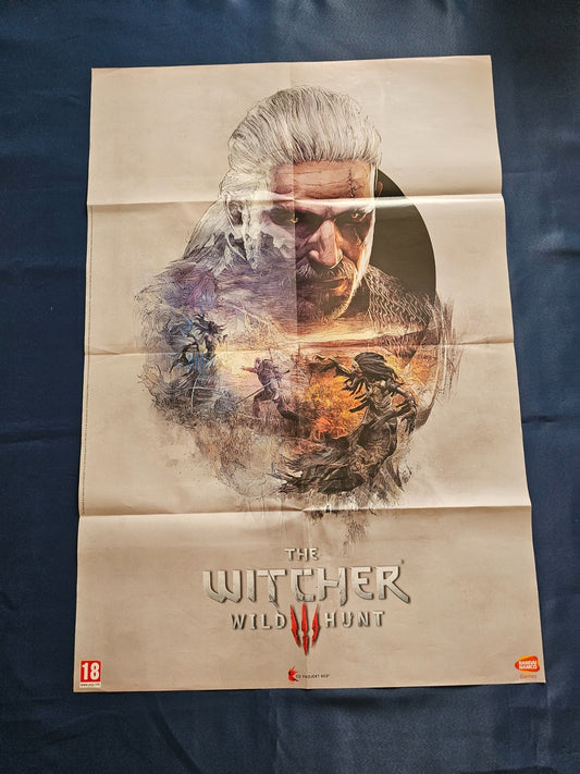 Poster Recto Verso The Witcher 3 Wild Hunt Star Wars Battlefront CD Projekt EA 60